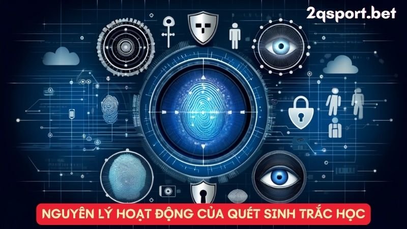 Nguyên lý hoạt động của quét sinh trắc học