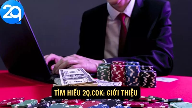 tim-hieu-2qcok-1