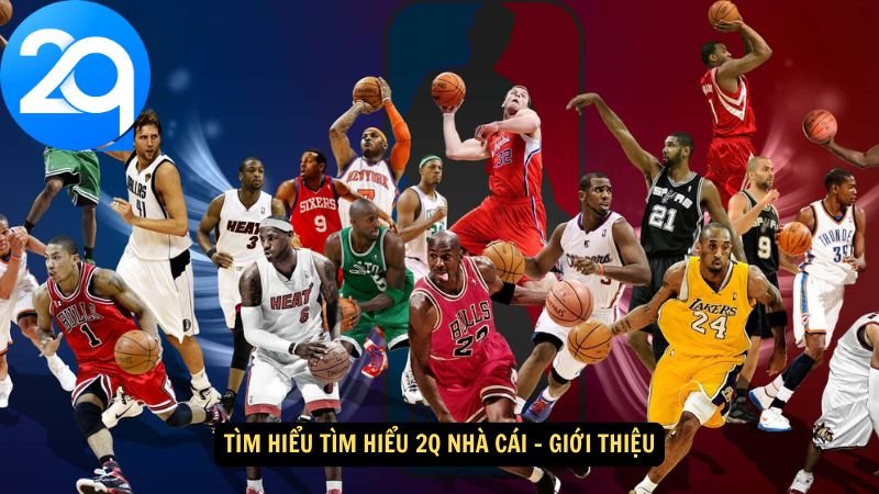 tim-hieu-tim-hieu-2q-nha-cai-1