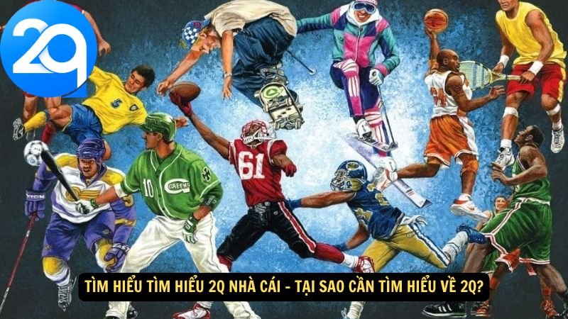 tim-hieu-tim-hieu-2q-nha-cai-2